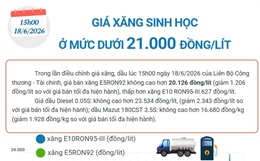 Giá xăng sinh học ở mức dưới 21.000 đồng/lít