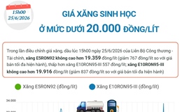 Giá xăng sinh học ở mức dưới 20.000 đồng/lít