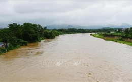 Nước sông Cầu qua Thái Nguyên lên nhanh do mưa lớn