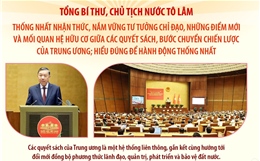 Tổng Bí thư, Chủ tịch nước Tô Lâm: Các quyết sách của Trung ương là một hệ thống liên thông, gắn kết