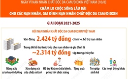 Chăm lo cuộc sống lâu dài cho các nạn nhân, gia đình nạn nhân chất độc da cam/dioxin
