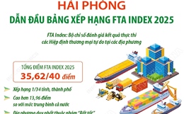 Hải Phòng dẫn đầu bảng xếp hạng FTA Index 2025