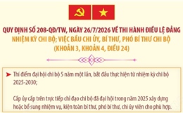 Quy định 208-QĐ/TW: Thí điểm đại hội chi bộ 5 năm một lần