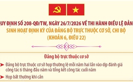 Quy định 208-QĐ/TW: Sinh hoạt định kỳ của đảng bộ trực thuộc cơ sở, chi bộ
