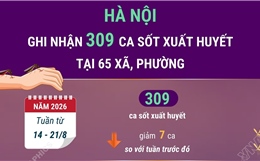 Hà Nội ghi nhận 309 ca mắc sốt xuất huyết tại 65 xã, phường