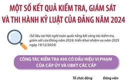 Một số kết quả kiểm tra, giám sát và thi hành kỷ luật của Đảng năm 2024