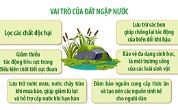 Đất ngập nước và tri thức truyền thống: Tôn vinh di sản văn hóa