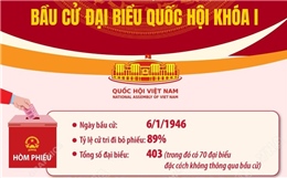 Kết quả bầu cử đại biểu Quốc hội từ khóa I đến khóa XV