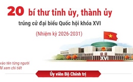 Thông tin chi tiết về 20 bí thư tỉnh ủy, thành ủy trúng cử đại biểu Quốc hội khóa XVI