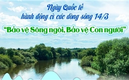 Ngày Quốc tế hành động vì các dòng sông 14/3