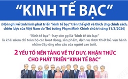 Định hướng phát triển 'kinh tế bạc' tại Việt Nam