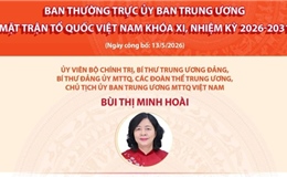 Ban Thường trực Ủy ban Trung ương Mặt trận Tổ Quốc Việt Nam khóa XI