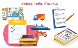 Sử dụng dữ liệu đăng kiểm phương tiện giao thông thay thế 4 loại giấy tờ