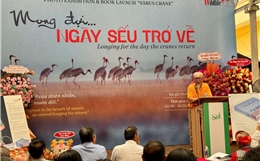 Sếu đầu đỏ và câu chuyện bảo tồn sự sống
