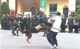 Đoàn đại biểu cấp cao Bộ Quốc phòng Việt Nam - Trung Quốc thăm Đồn Biên phòng Trà Cổ