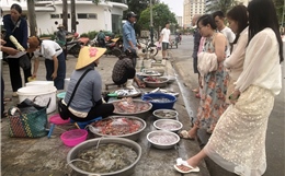 Chợ cá Sầm Sơn - Bản giao hưởng mặn mòi nơi cửa biển