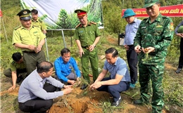 Bộ đội Biên phòng phát động chương trình trồng cây ‘Vành đai biên giới xanh’