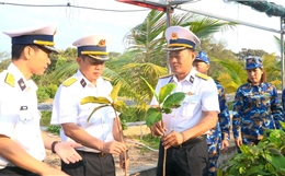 Vùng 4 Hải quân ươm, chiết, nhân giống 30.000 cây trồng thực hiện ‘Xanh hóa Trường Sa’