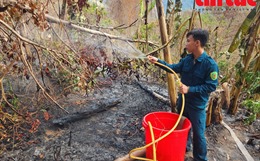 Hàng trăm người vẫn đang nỗ lực dập lửa cháy âm ỉ trên rừng Núi Tô