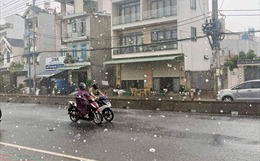 Nhiều quận, huyện ở TP Hồ Chí Minh xuất hiện mưa lớn