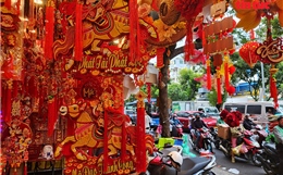 TP Hồ Chí Minh: Sắc xuân rực rỡ trên đường Hải Thượng Lãn Ông