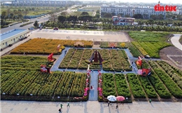 Người dân, du khách nô nức check-in lễ hội hoa Tết '4 miền' tại TP Hồ Chí Minh