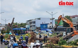 TP Hồ Chí Minh: Đốn hạ nhiều cây xanh phục vụ thi công nhà ga ngầm tuyến metro số 2