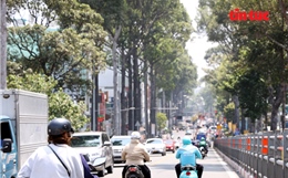 TP Hồ Chí Minh đối mặt nắng nóng 37 độ C, người dân cần phòng sốc nhiệt