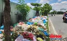 Rác tràn đường vì nạn đổ trộm tại TP Hồ Chí Minh