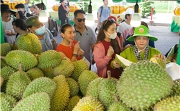 TP Hồ Chí Minh: Lễ hội trái cây Nam bộ thu hút đông đảo du khách