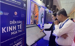 TP Hồ Chí Minh thúc đẩy kết nối, hợp tác phát triển giữa doanh nghiệp Việt Nam và Trung Quốc