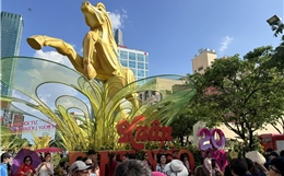 TP Hồ Chí Minh: Người dân 'đội nắng' tham quan Đường hoa Tết