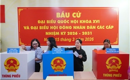 TP Hồ Chí Minh: Vận hành thử nghiệm quy trình bầu cử