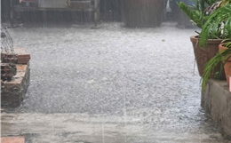 Mưa dông bất ngờ làm hạ nhiệt TP Hồ Chí Minh