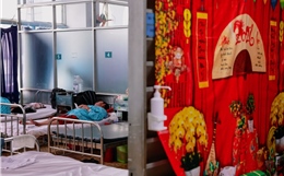 Những người không có Tết do sốt xuất huyết Dengue