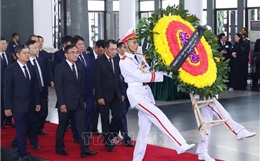 Đoàn Đảng ủy Tập đoàn Điện lực Việt Nam viếng Tổng Bí thư Nguyễn Phú Trọng 