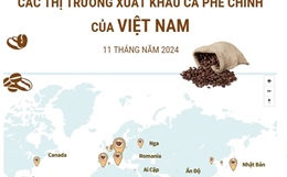 Các thị trường xuất khẩu cà phê chính của Việt Nam