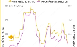 Giá vàng SJC sáng 20/12/2024