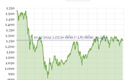 Phiên 20/12/2024: VN-Index tăng gần 3 điểm