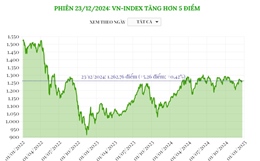 Phiên 23/12/2024: VN-Index tăng hơn 5 điểm