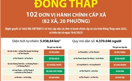 Thông tin chi tiết sắp xếp các đơn vị hành chính cấp xã của tỉnh Đồng Tháp