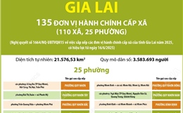 Thông tin chi tiết sắp xếp các đơn vị hành chính cấp xã của tỉnh Gia Lai