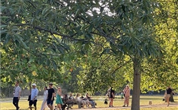 Người dân London đổ tới các công viên tránh nóng 