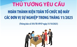 Thủ tướng yêu cầu kiện toàn tổ chức bộ máy các đơn vị sự nghiệp trong tháng 11/2025