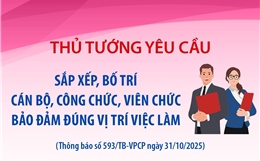 Thủ tướng yêu cầu sắp xếp, bố trí cán bộ, công chức, viên chức bảo đảm đúng vị trí việc làm