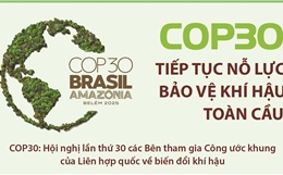 COP30 tiếp tục nỗ lực bảo vệ khí hậu toàn cầu