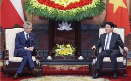 Chủ tịch nước Lương Cường tiếp Chủ tịch Thượng viện Cộng hòa Séc