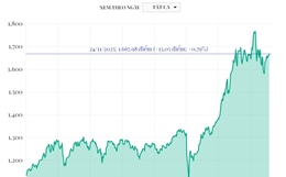 Phiên 24/11/2025: VN-Index tăng 13,05 điểm