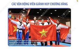 SEA Games 33: Taekwondo Việt Nam xếp thứ hai toàn đoàn