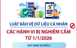 Luật Bảo vệ dữ liệu cá nhân: Các hành vi bị nghiêm cấm từ 1/1/2026
